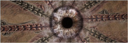 : Sight of World :
