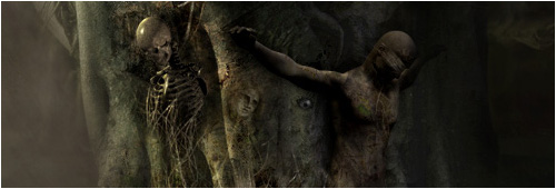 : The Forest of Life :