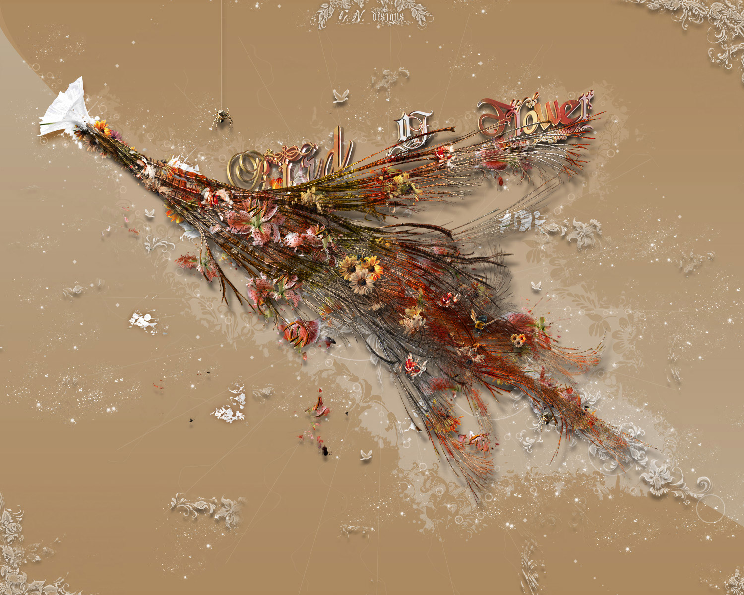 : Bird of Flower :